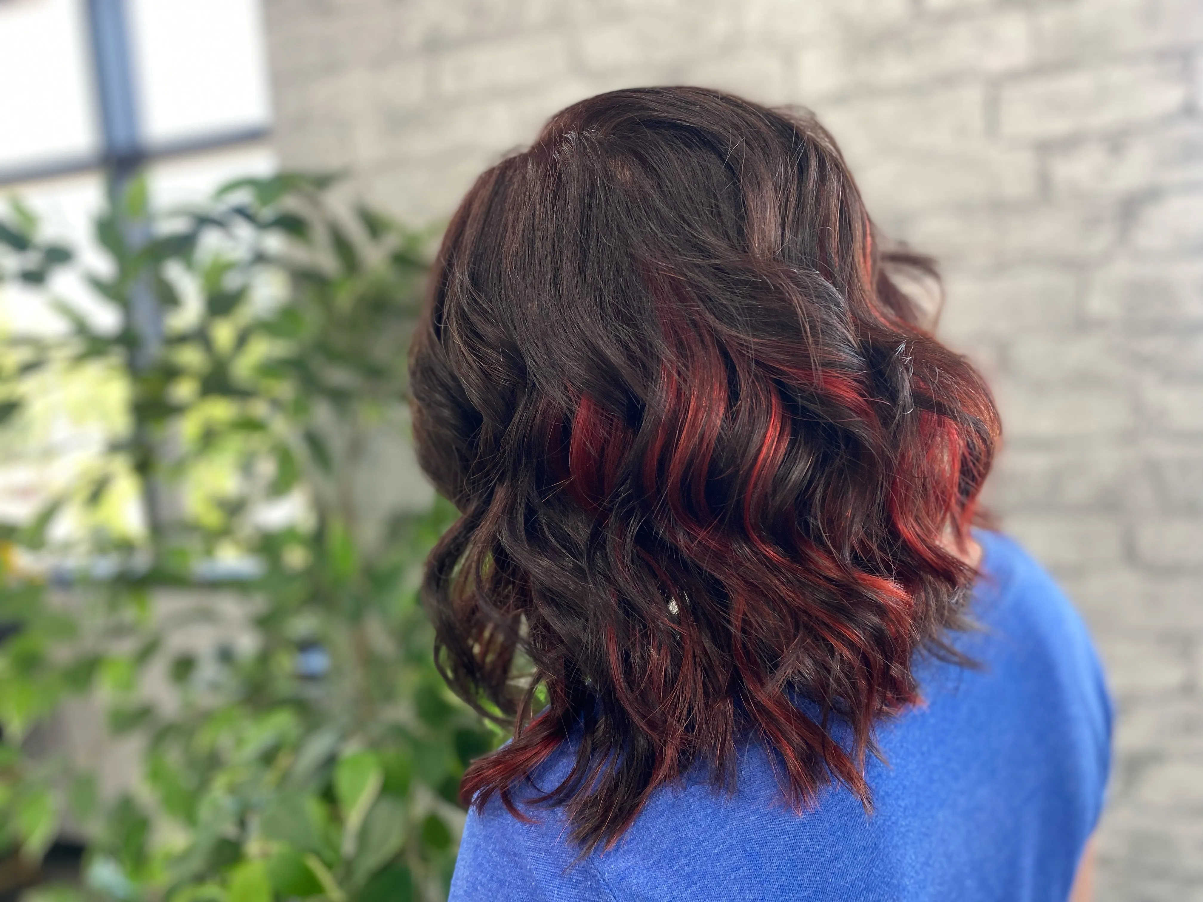 Red Highlights Back Landscape
