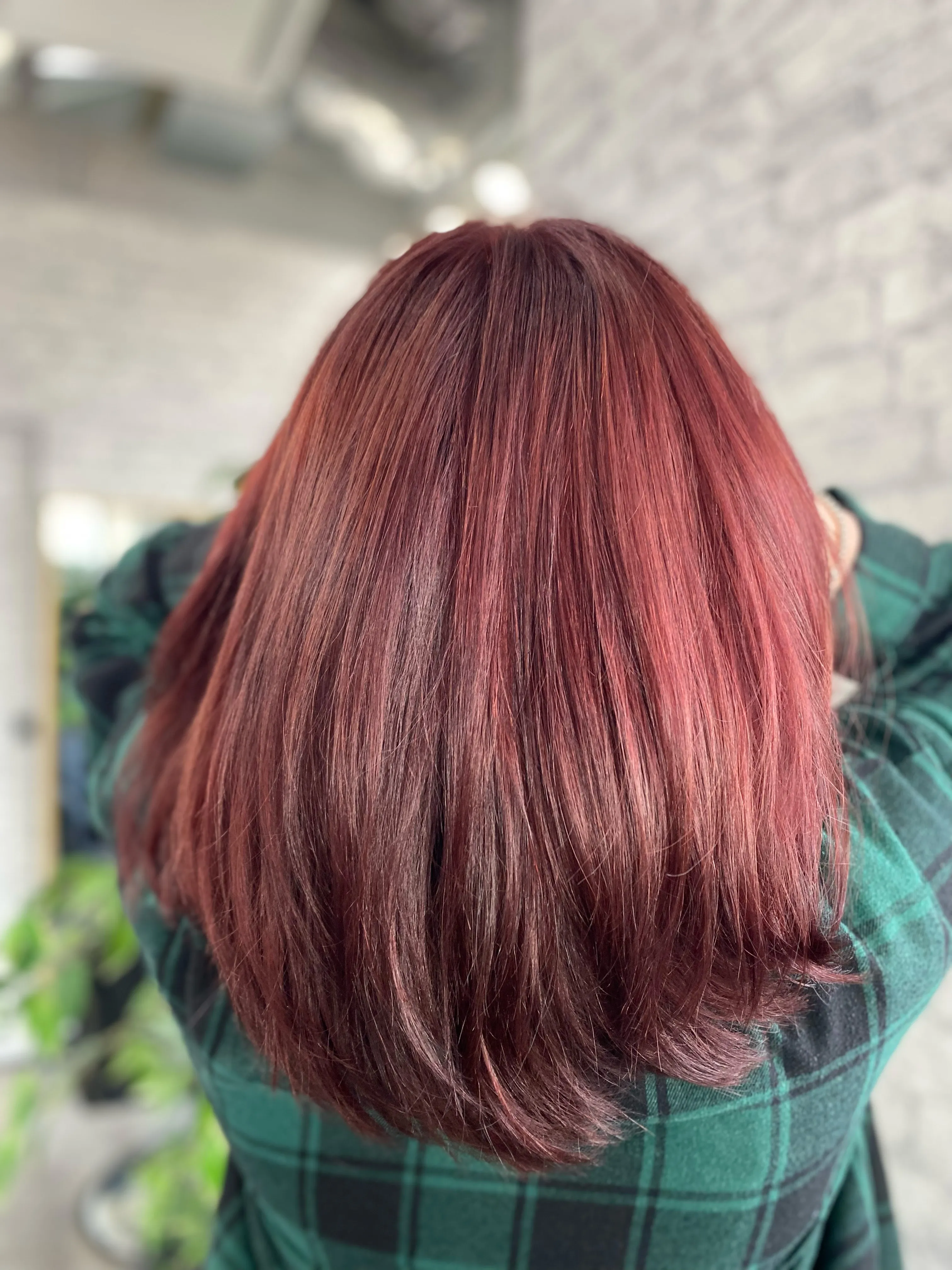 Red Highlights Back
